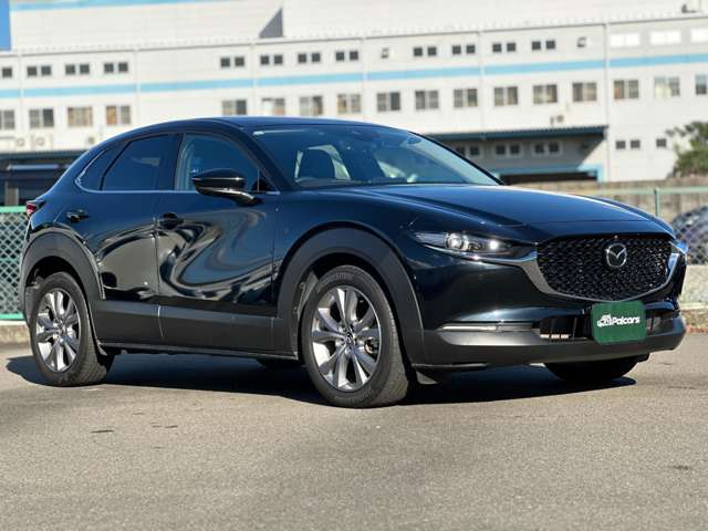 Mazda CX-30 10