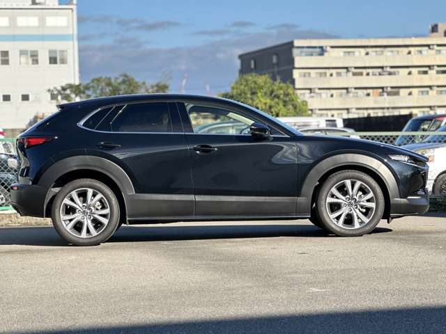 Mazda CX-30 11