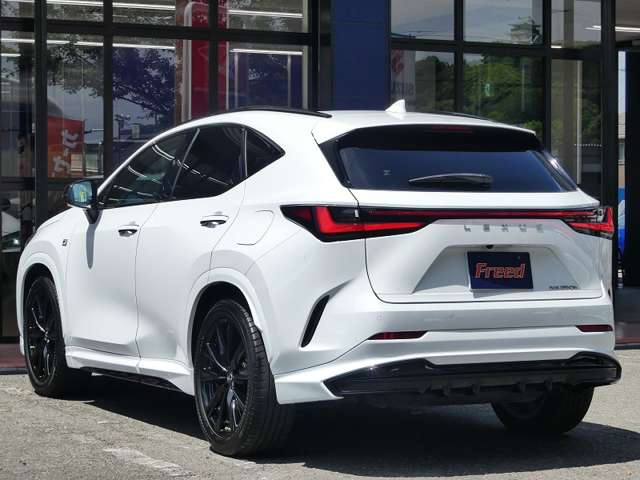 Lexus NX 6