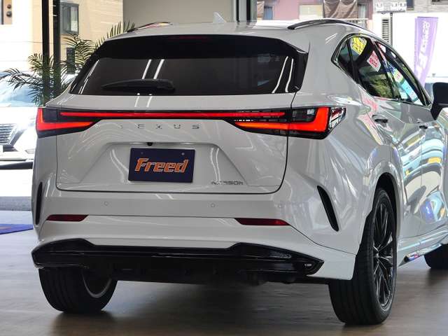 Lexus NX 10