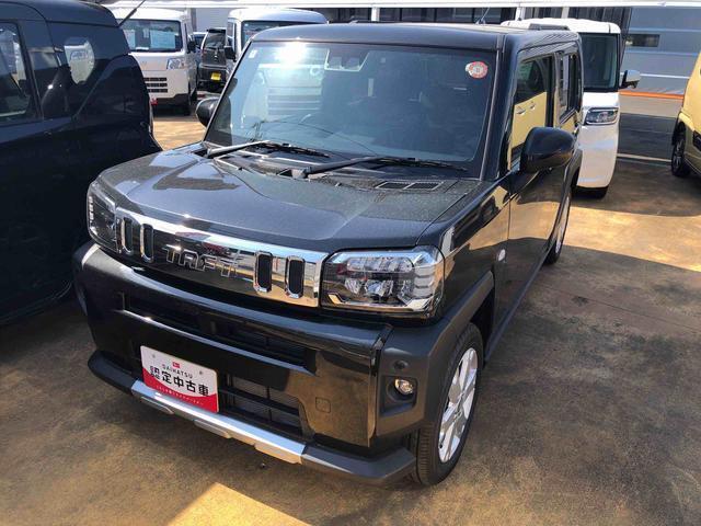 Daihatsu Taft 11