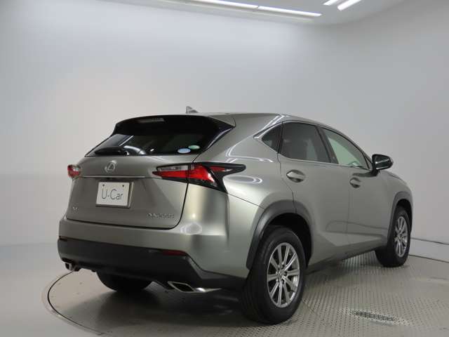 Lexus NX 4