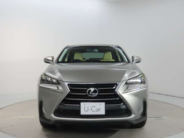 Lexus NX 5