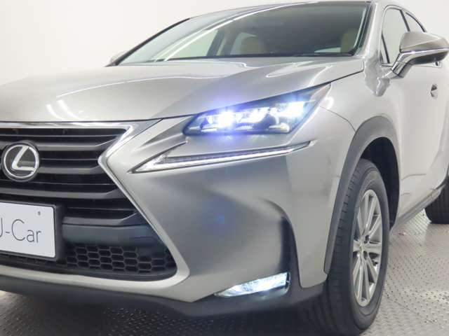 Lexus NX 6