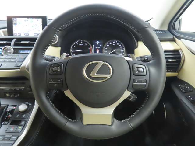 Lexus NX 10