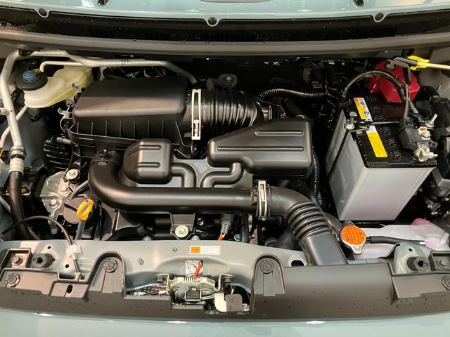 Daihatsu Taft 8