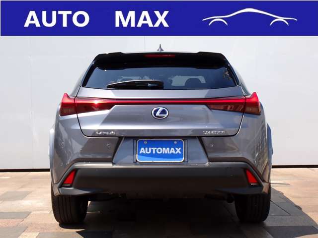 Lexus UX 11