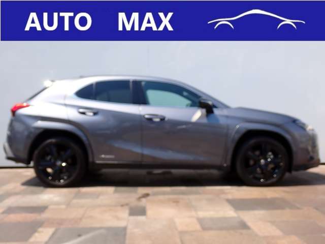 Lexus UX 8