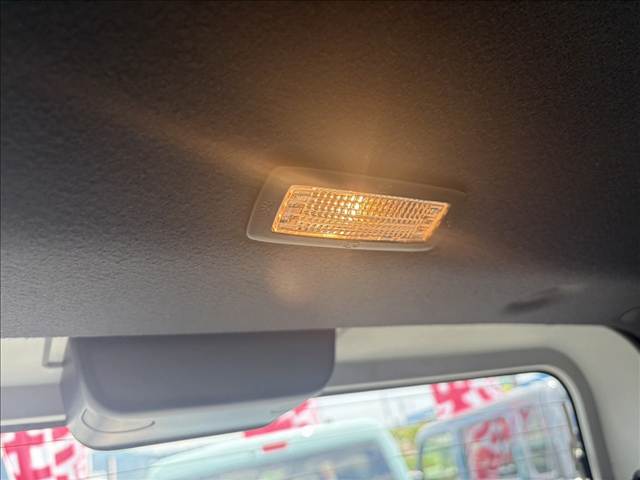 Daihatsu Taft 9