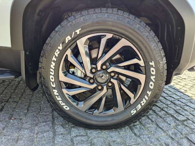 Toyota Land Cruiser 250 9