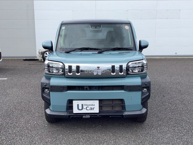 Daihatsu Taft 8
