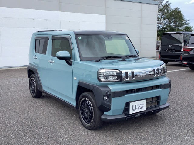 Daihatsu Taft 9