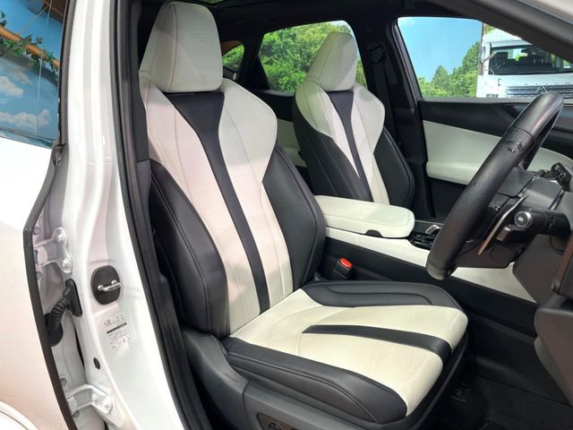 Lexus NX 11