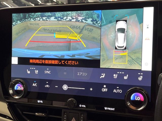 Lexus NX 6