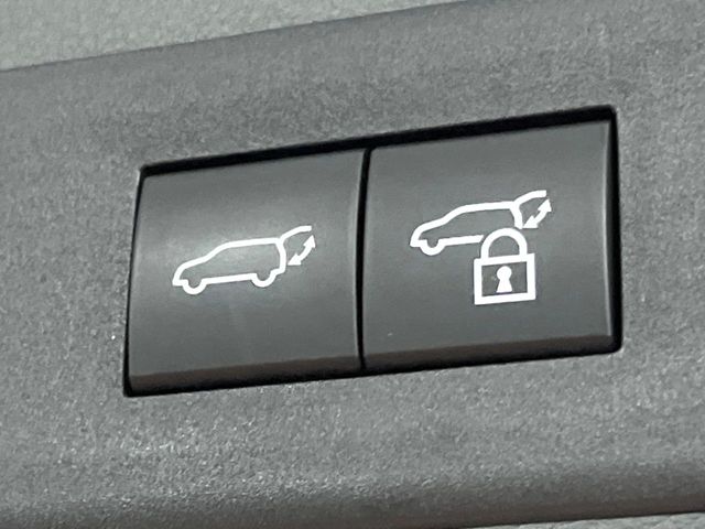 Lexus NX 10