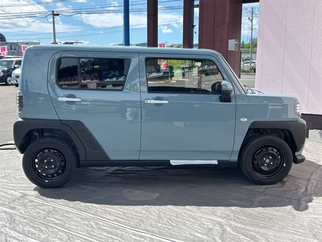 Daihatsu Taft 12