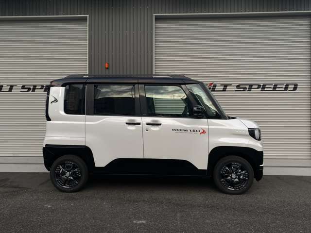 Mitsubishi Delica Mini 5