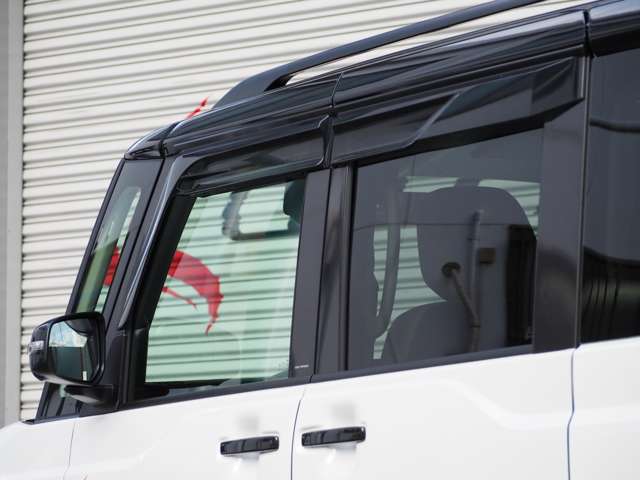Mitsubishi Delica Mini 9