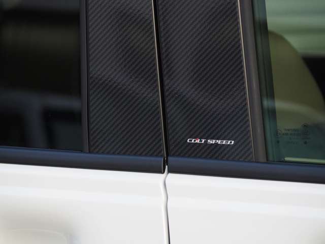 Mitsubishi Delica Mini 10