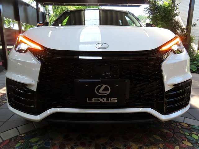Lexus LBX 12