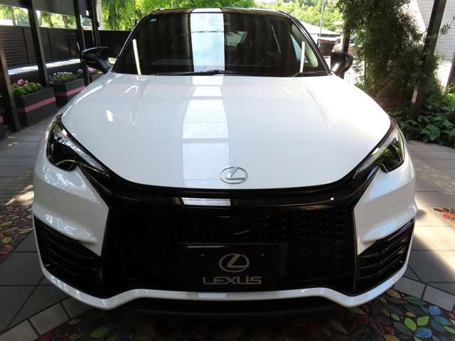 Lexus LBX 7