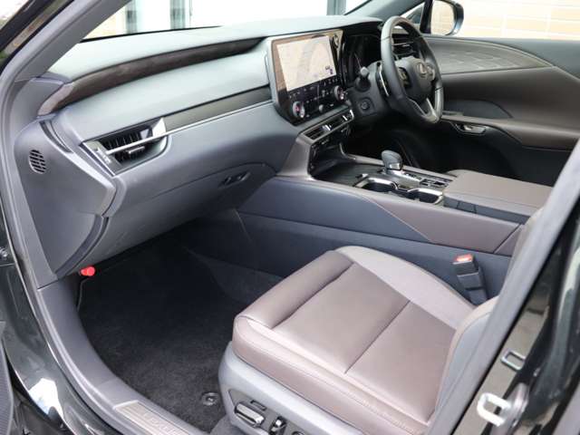 Lexus RX 12