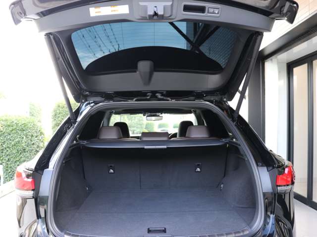 Lexus RX 6