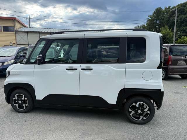 Mitsubishi Delica Mini 11