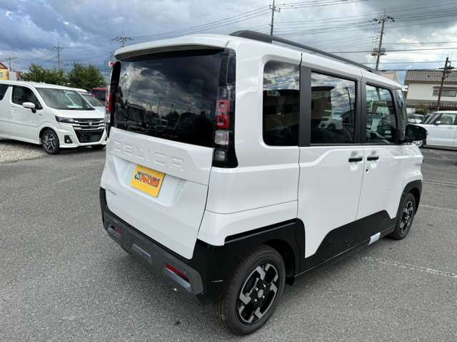 Mitsubishi Delica Mini 8