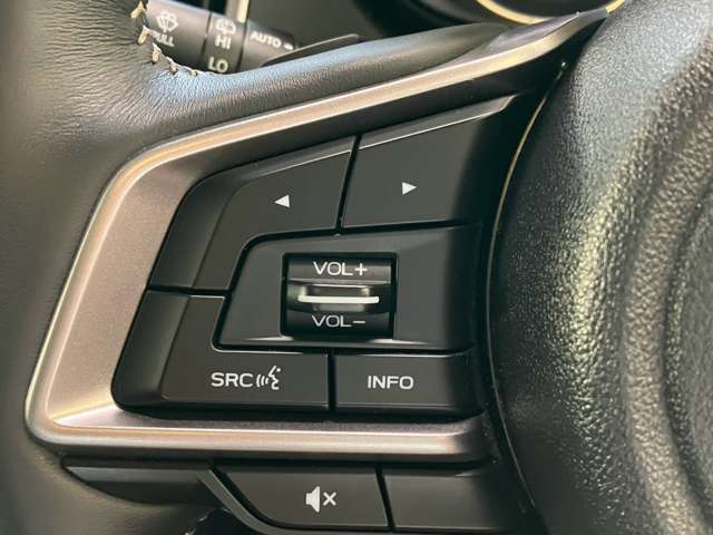 Subaru Forester 10