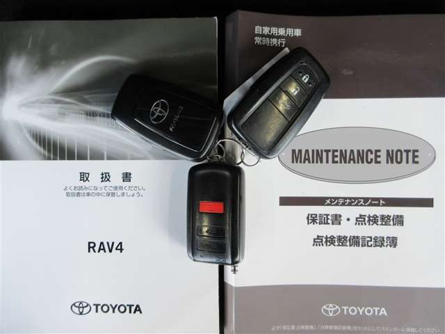 Toyota RAV4 12