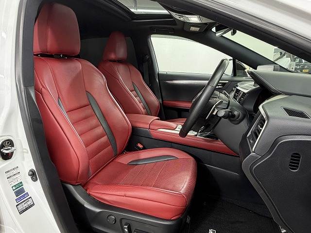 Lexus RX 11