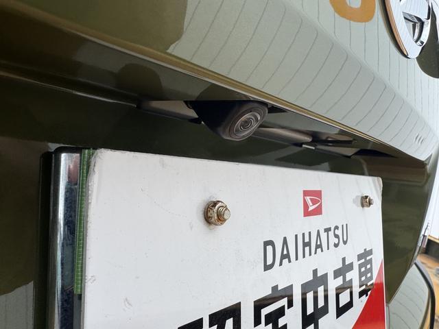 Daihatsu Taft 6