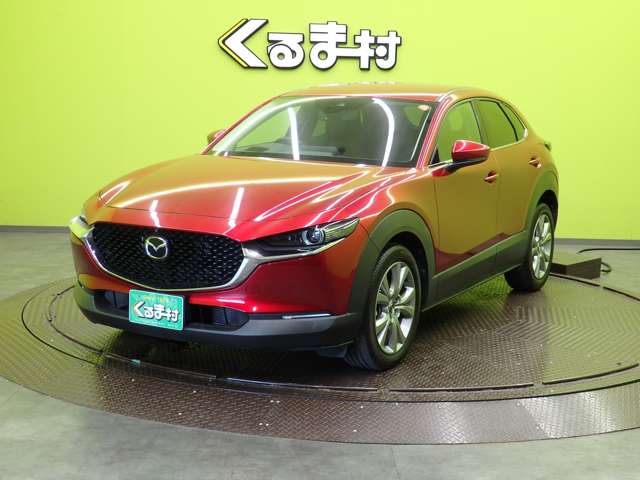 Mazda CX-30 11