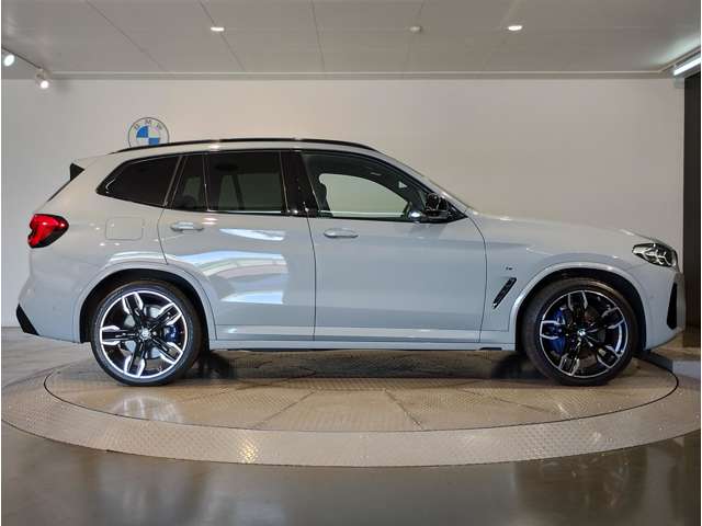 BMW X3 8