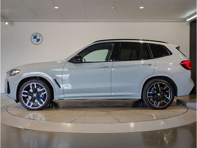 BMW X3 9