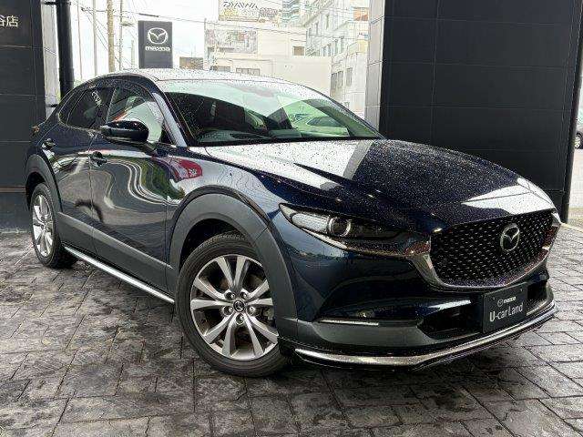 Mazda CX-30 9