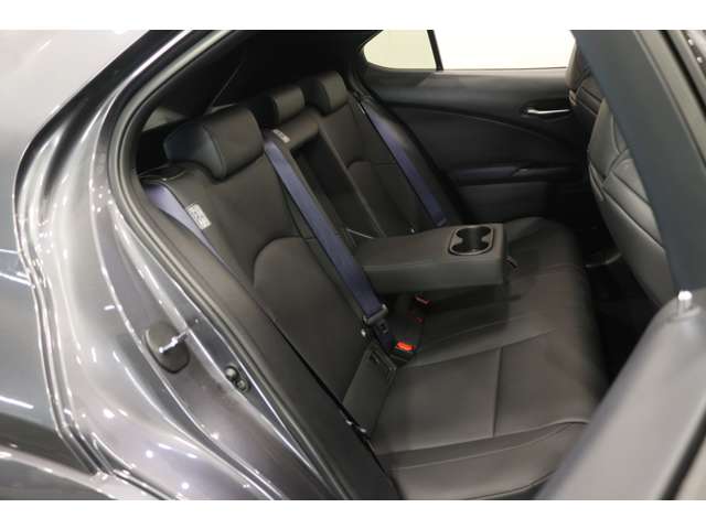 Lexus UX 11