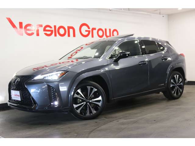 Lexus UX 7