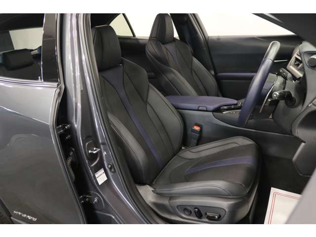 Lexus UX 10