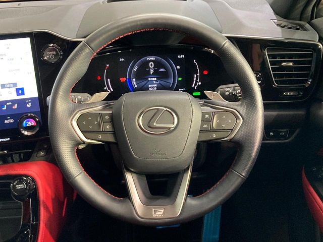 Lexus NX 11