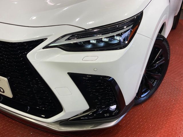 Lexus NX 12