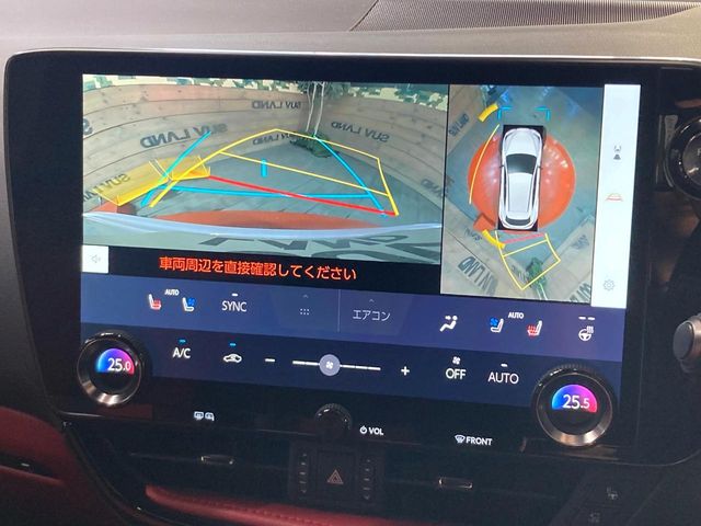 Lexus NX 6