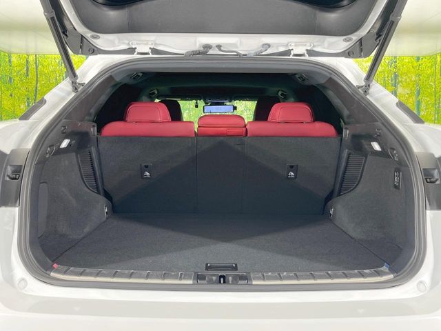 Lexus RX 10