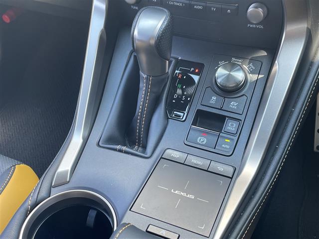 Lexus NX 11