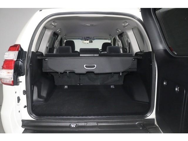 Toyota Land Cruiser Prado 11