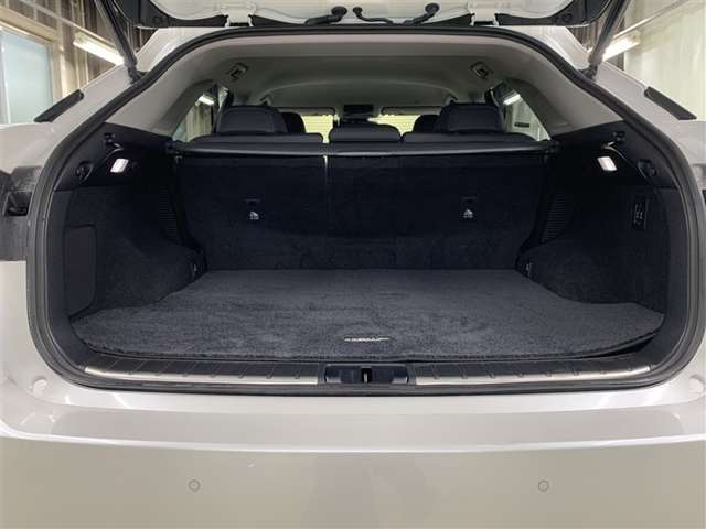 Lexus RX 11