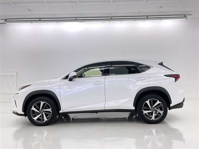 Lexus NX 6