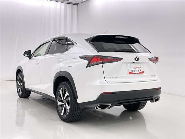 Lexus NX 7