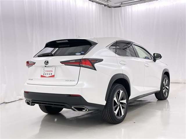 Lexus NX 8